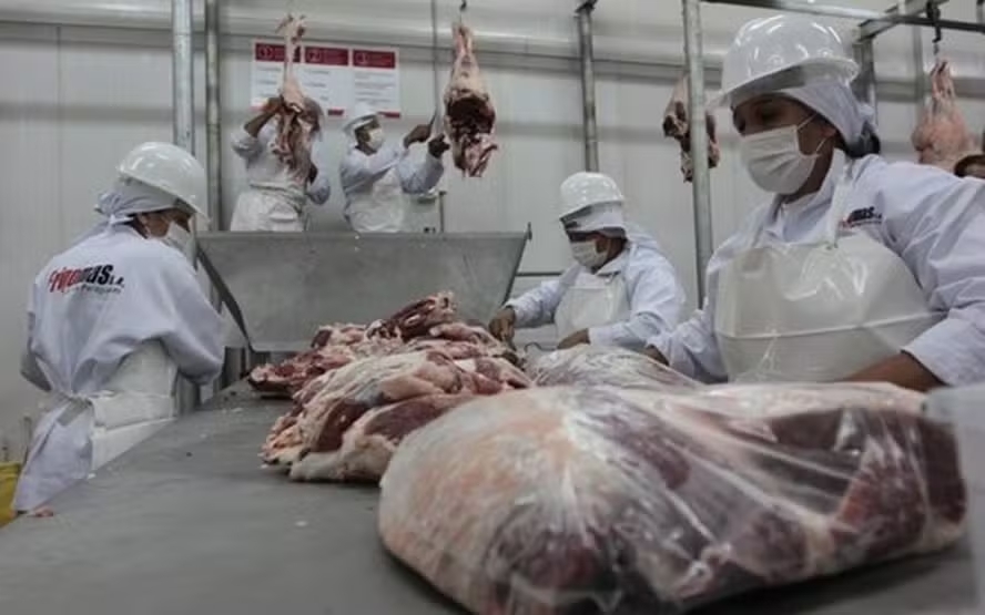 Após crescimento, carne bovina deve enfrentar 'teste sutil' em 2026, segundo frigoríficos