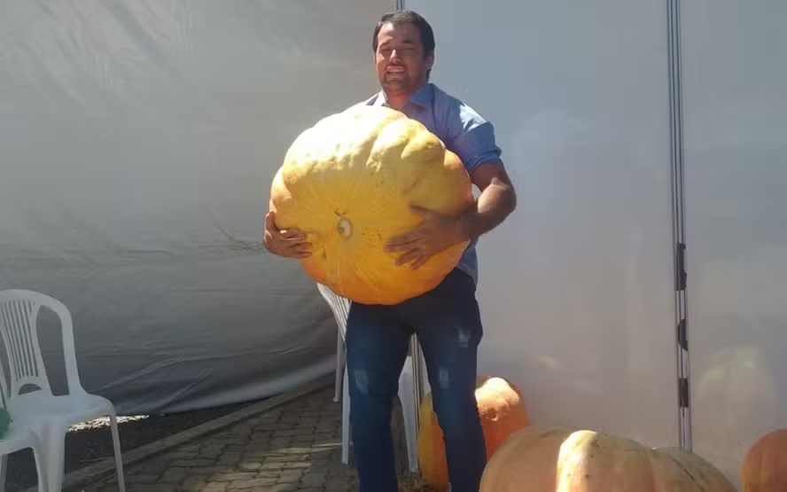 Produtor colhe abóbora gigante no RS, 20 vezes maior que as do supermercado